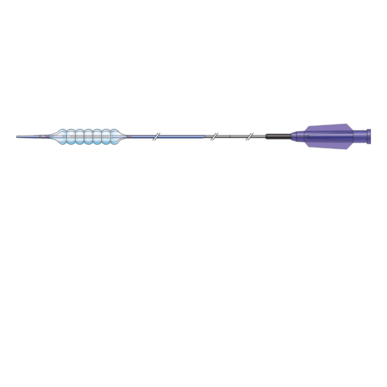 Chocolate XD® PTCA Balloon Dilation Catheter