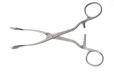Collings Tongue Seizing Forceps